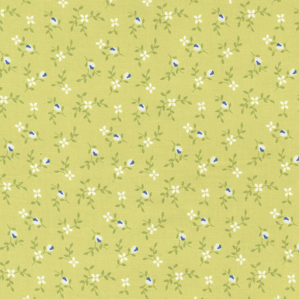 Moda - Cali Co. - 29192 38