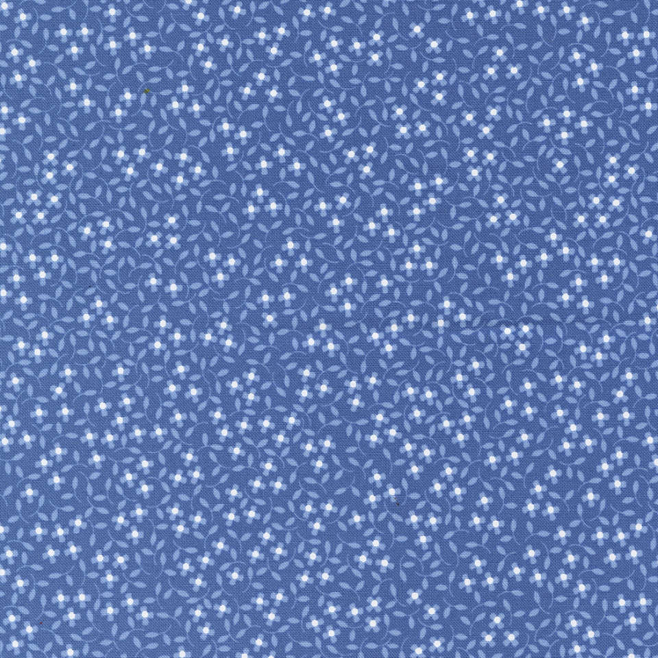 Moda - Cali Co. - 29193 41