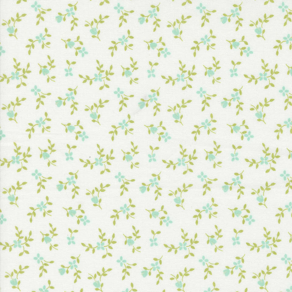 Moda - Cali Co. - 29192 19