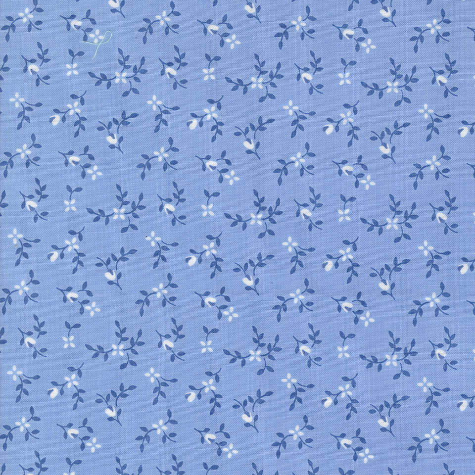 Moda - Cali Co. - 29192 42