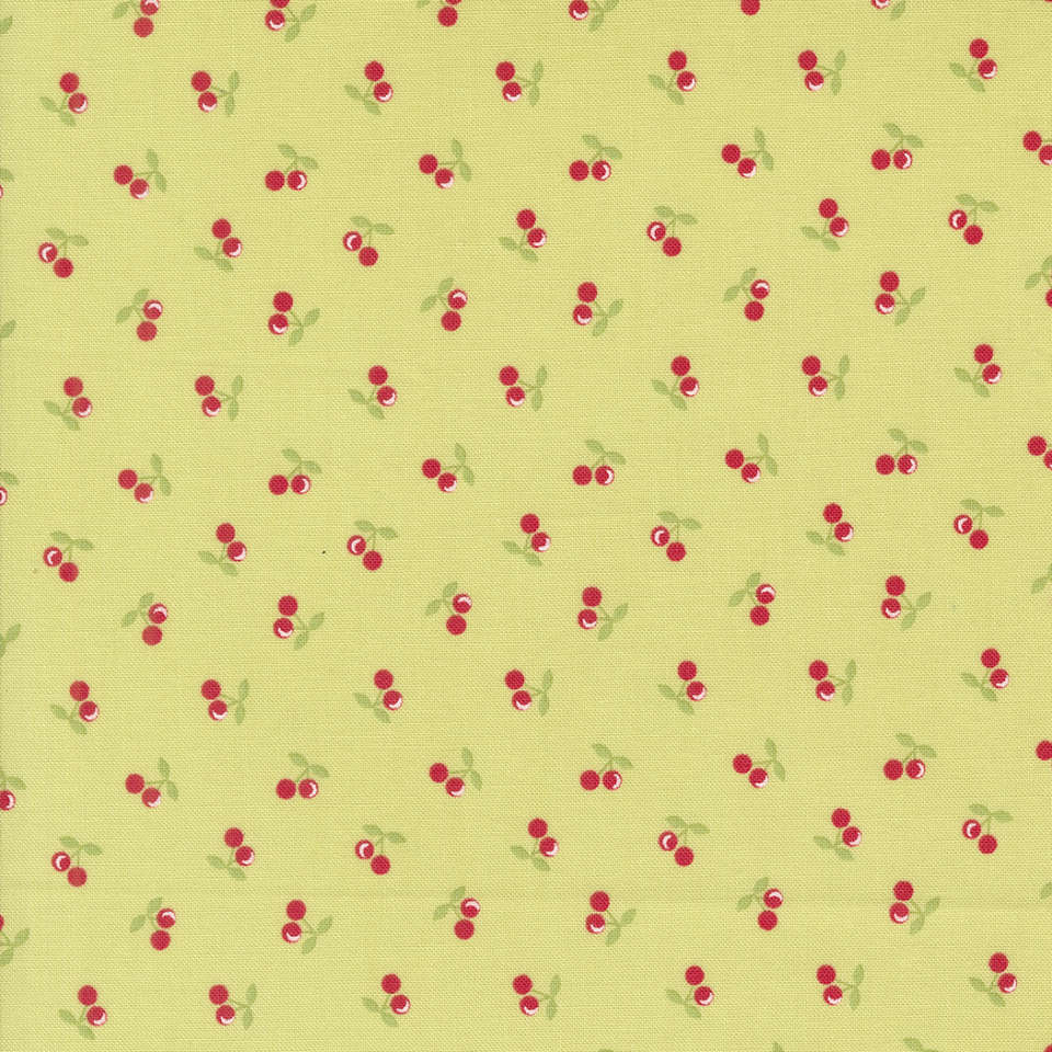 Moda - Cali Co. - 29194 18