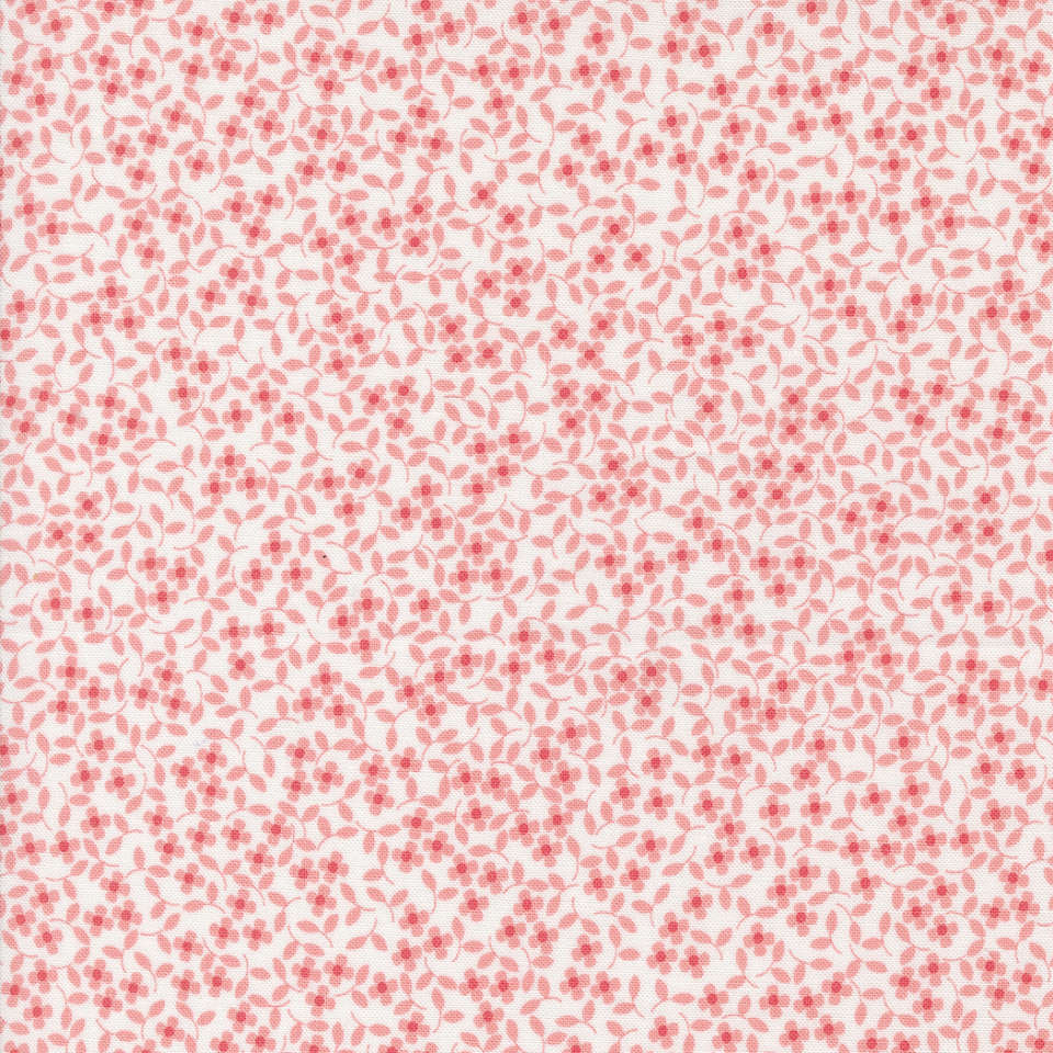 Moda - Cali Co. - 29193 13