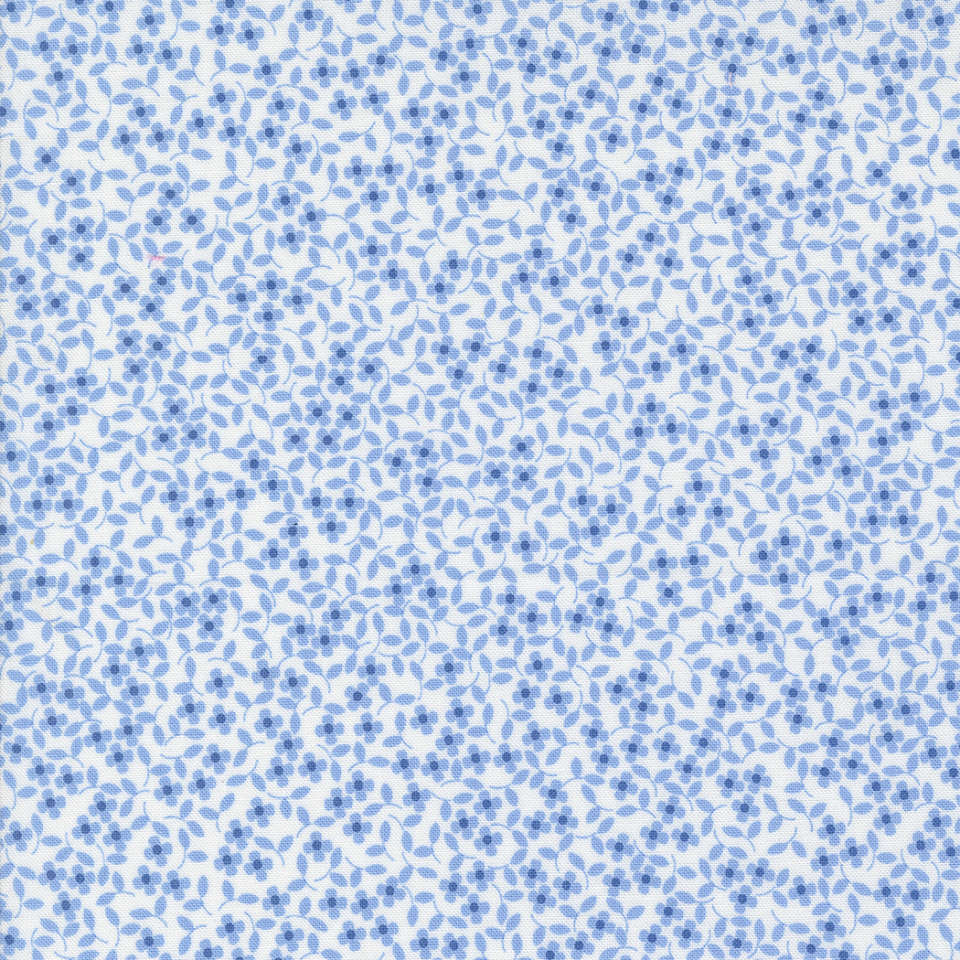 Moda - Cali Co. - 29193 22