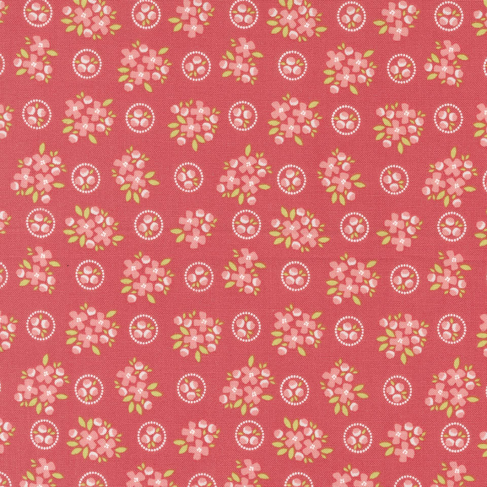 Moda - Cali Co. - 29191 12