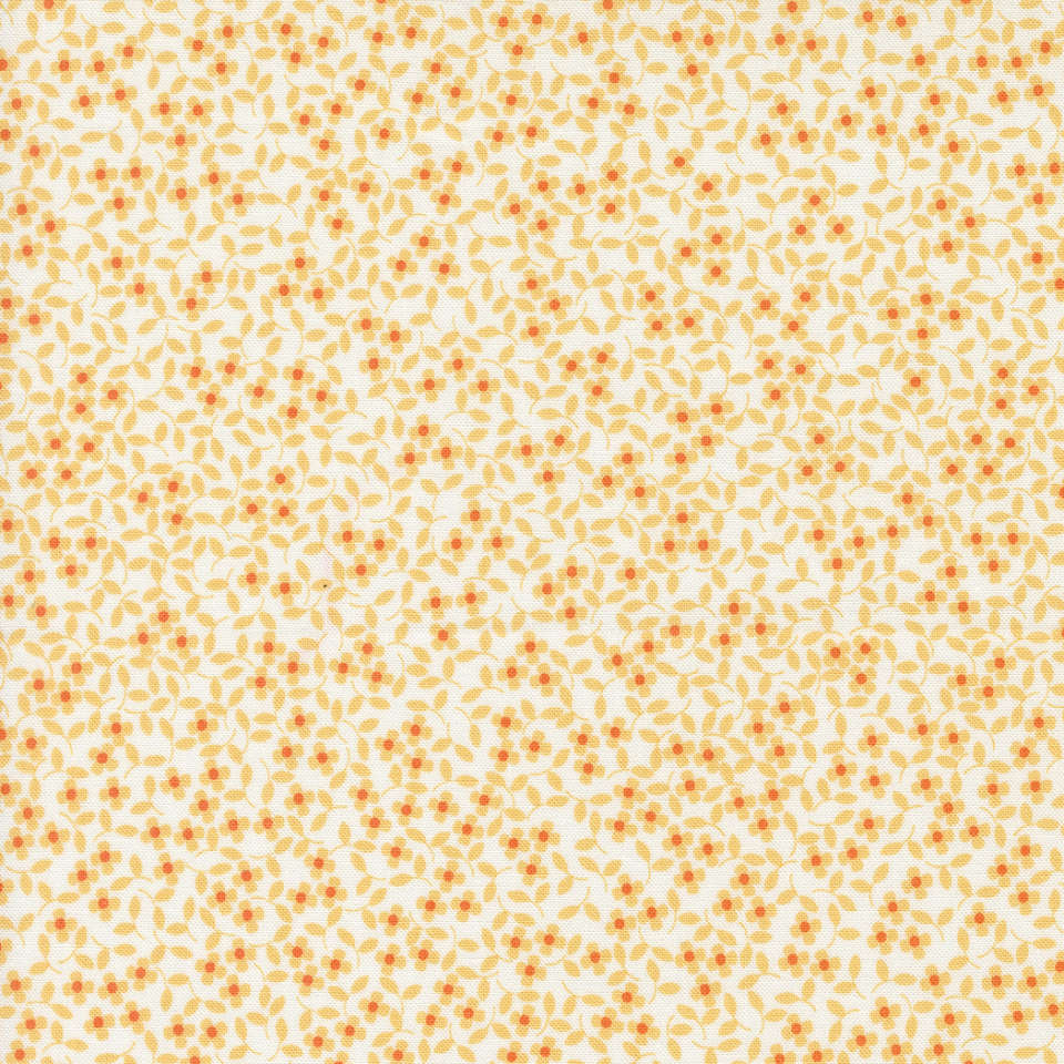 Moda - Cali Co. - 29193 15