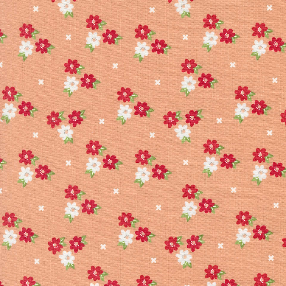 Moda - Laguna Sunrise - 37682 13