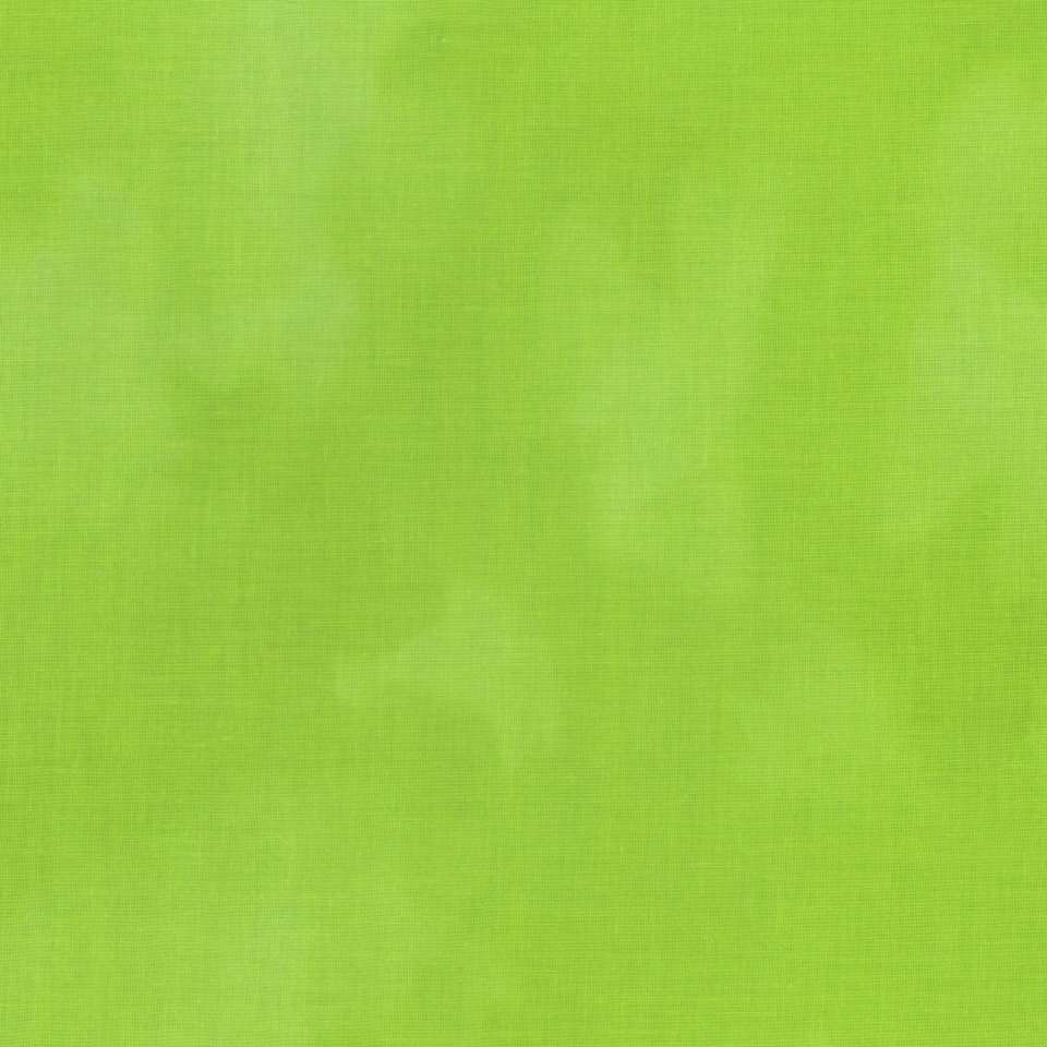 Timeless Treasures - ColorStock ~ Brushstrokes - JN-C2970 Caterpillar