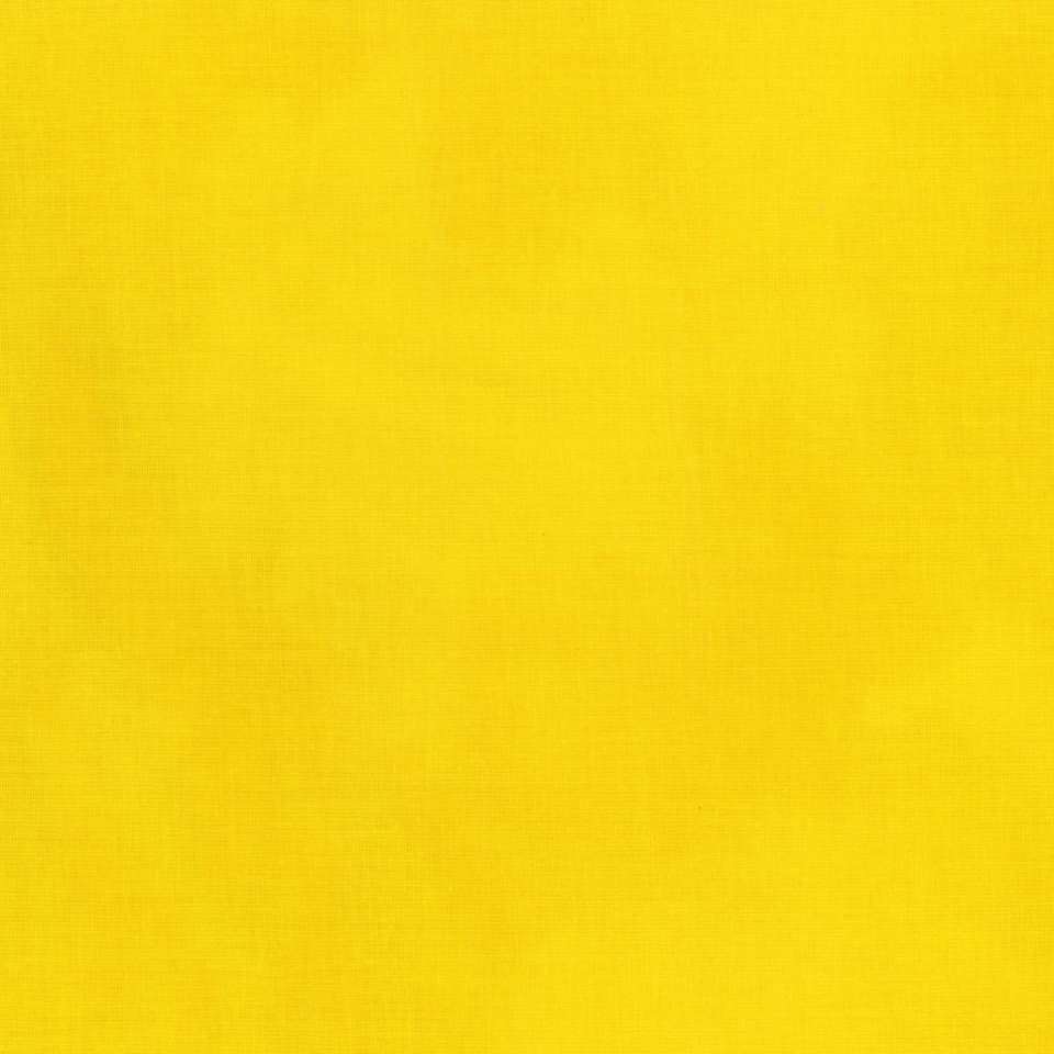 Timeless Treasures - ColorStock ~ Brushstrokes - JN-C2970 Daffodil