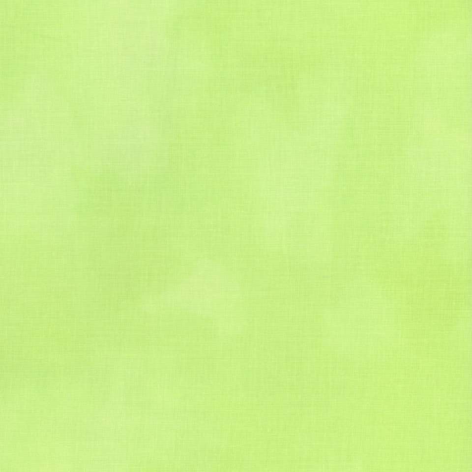 Timeless Treasures - ColorStock ~ Brushstrokes - JN-C2970 Aloe