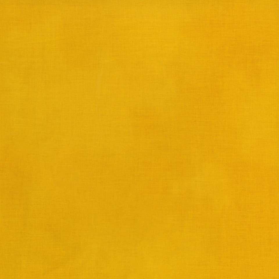 Timeless Treasures - ColorStock ~ Brushstrokes - JN-C2970 Lion