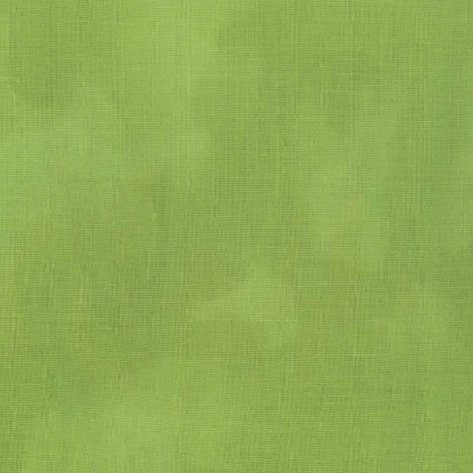 Timeless Treasures - ColorStock ~ Brushstrokes - JN-C2970 Moss
