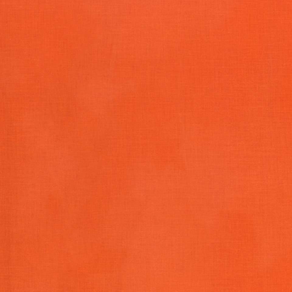 Timeless Treasures - ColorStock ~ Brushstrokes - JN-C2970 Orange