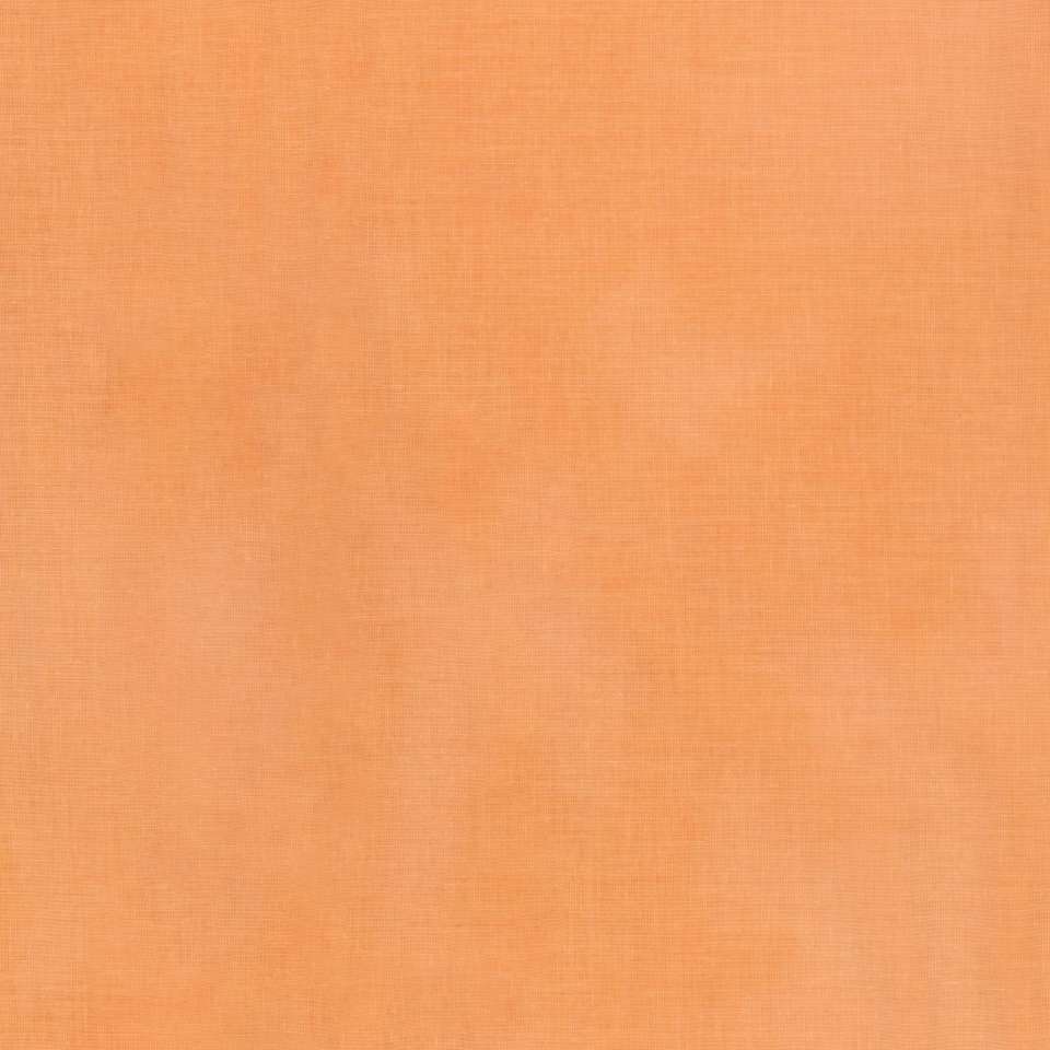 Timeless Treasures - ColorStock ~ Brushstrokes - JN-C2970 Apricot