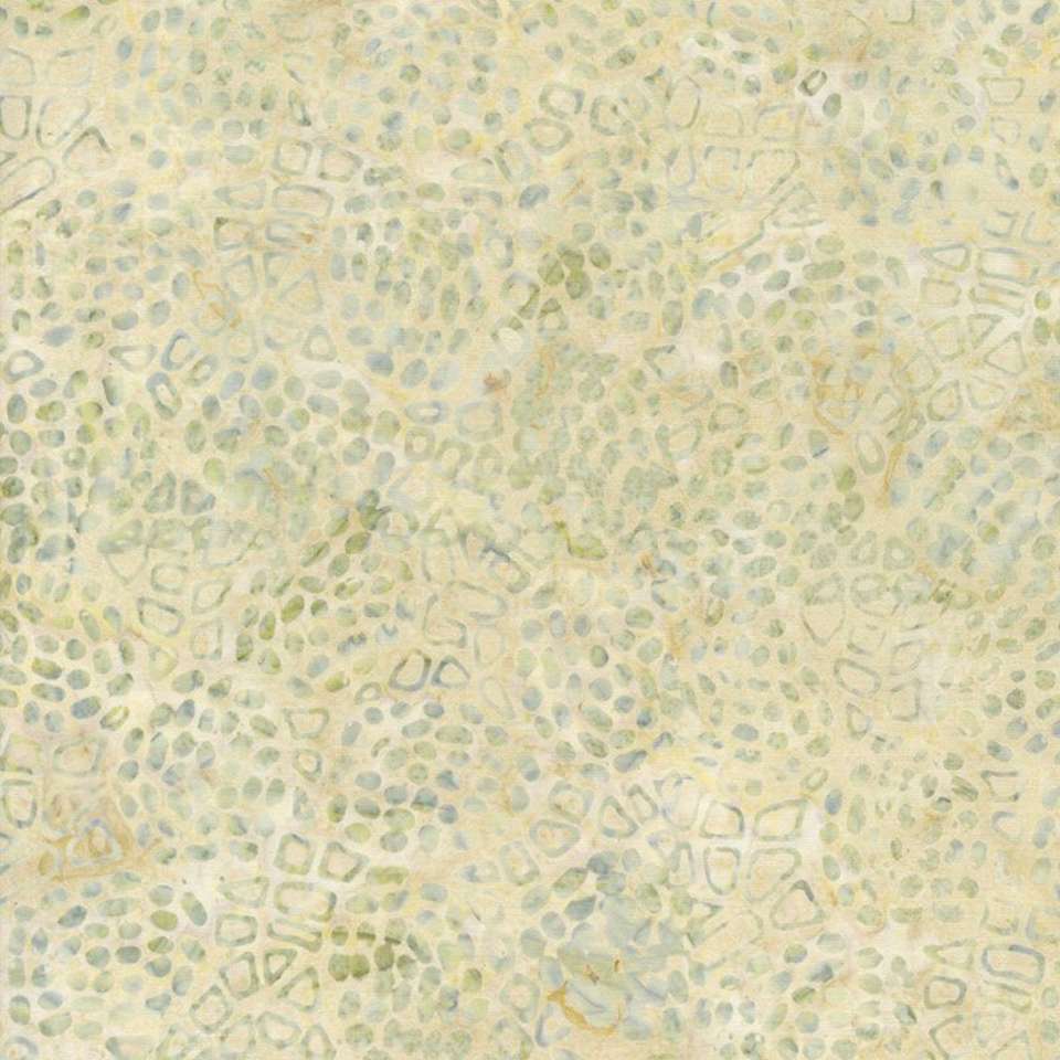 Timeless Treasures - Tonga Forest Floor - TONGA-B5042-QUARTZ