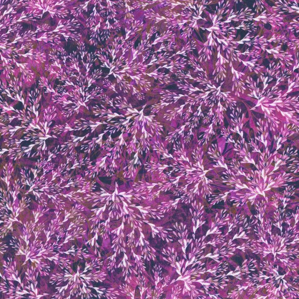 Robert Kaufman - Calixta - AQSD-22772-20