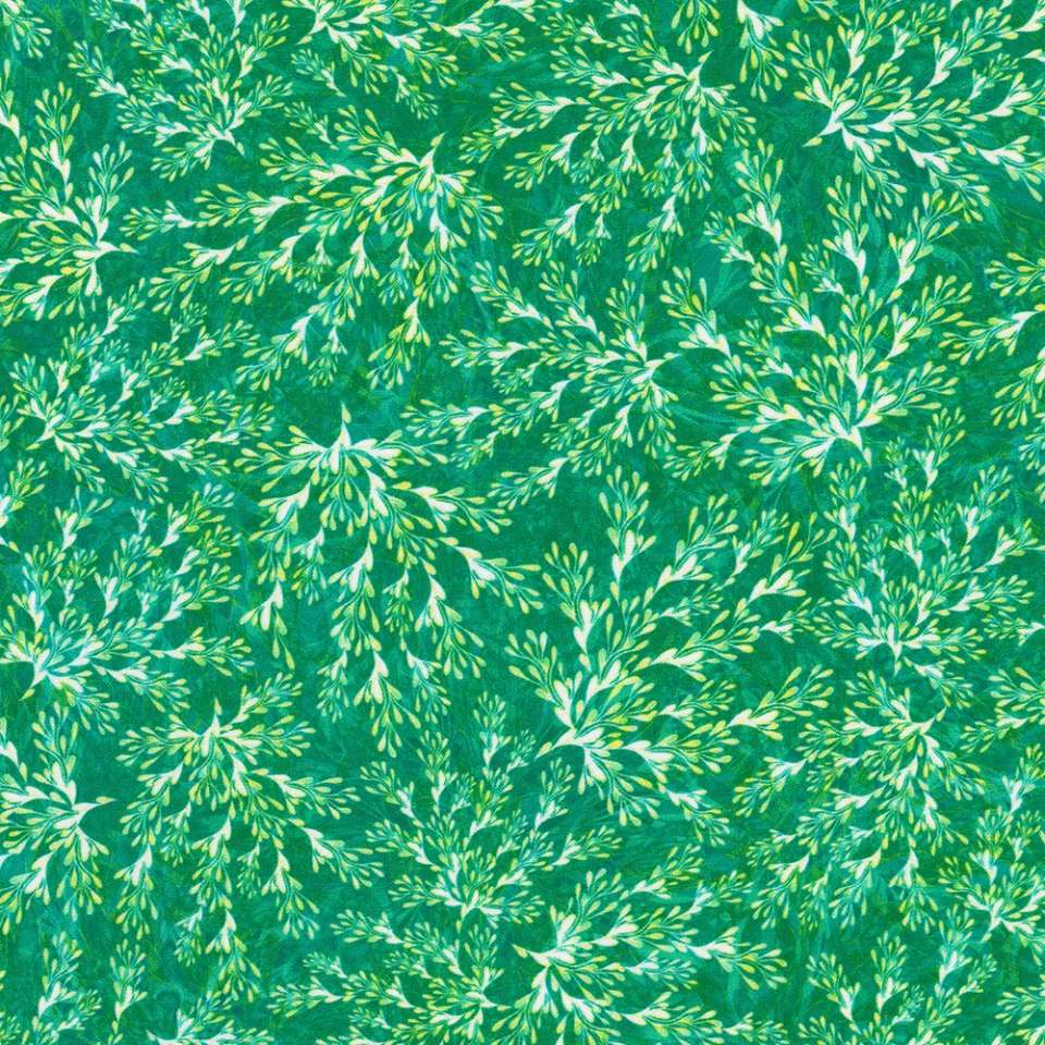 Robert Kaufman - Calixta - AQSD-22772-40