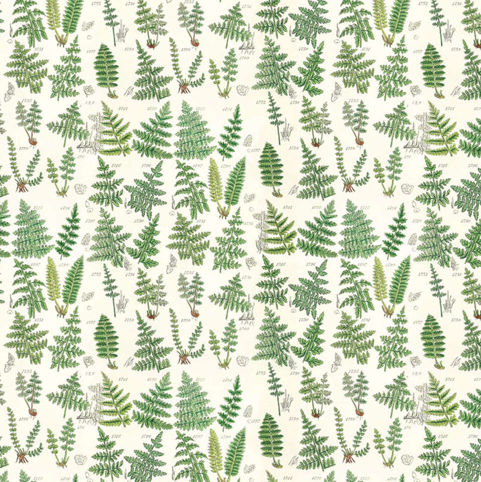 Free Spirit - Palette Green - PWTH265.GREEN