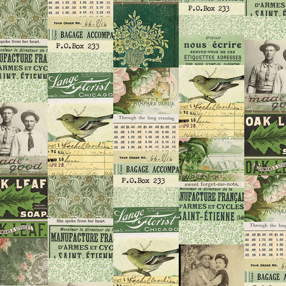 Free Spirit - Palette Green - PWTH260.GREEN