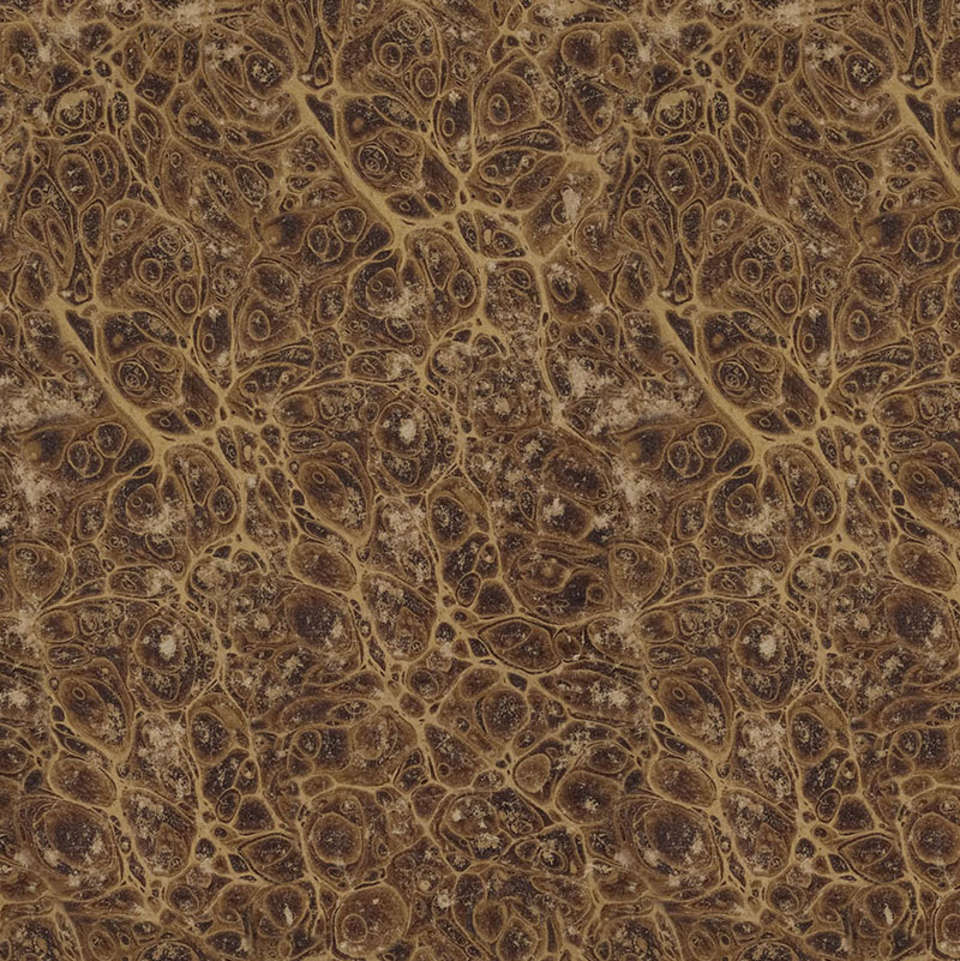 Free Spirit - Palette Neutral - PWTH259.NEUTRAL