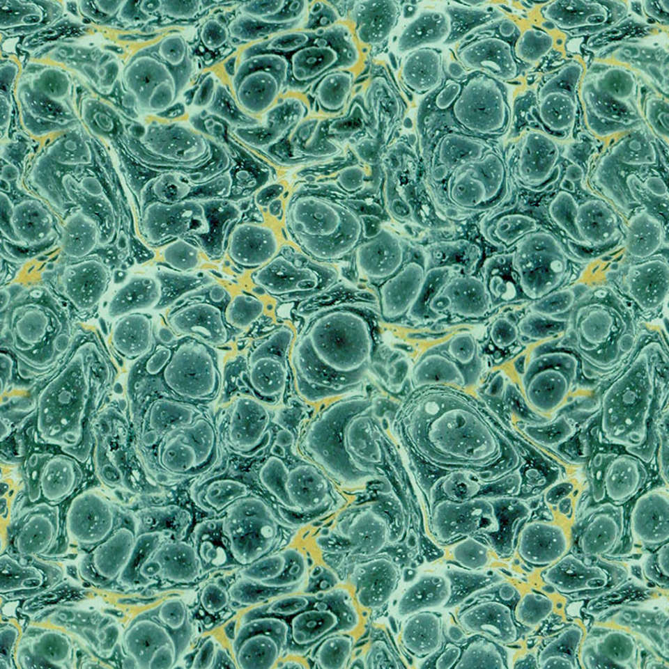 Free Spirit - Palette Teal - PWTH279.TEAL