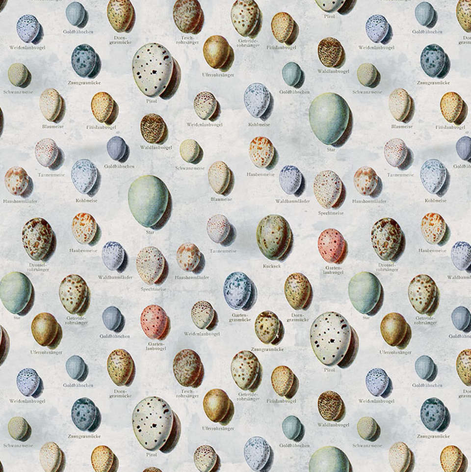 Free Spirit - Palette Blue - PWTH285.BLUE