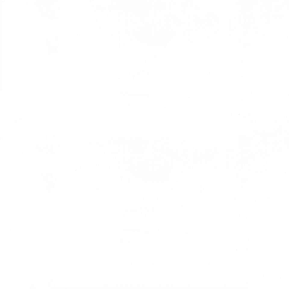 Riley Blake Designs - Hand-Dyes - BT21000-111 Snow White