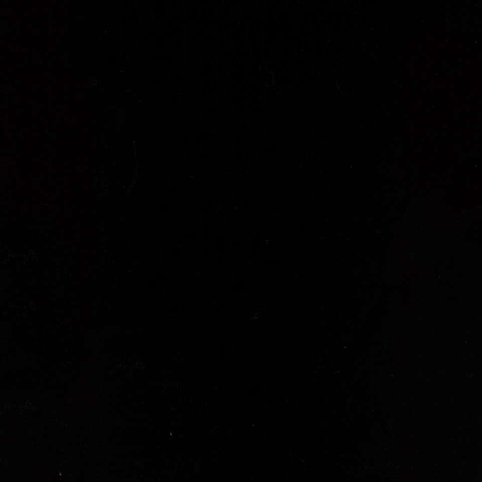 Riley Blake Designs - Hand-Dyes - BT21000-118 Raven