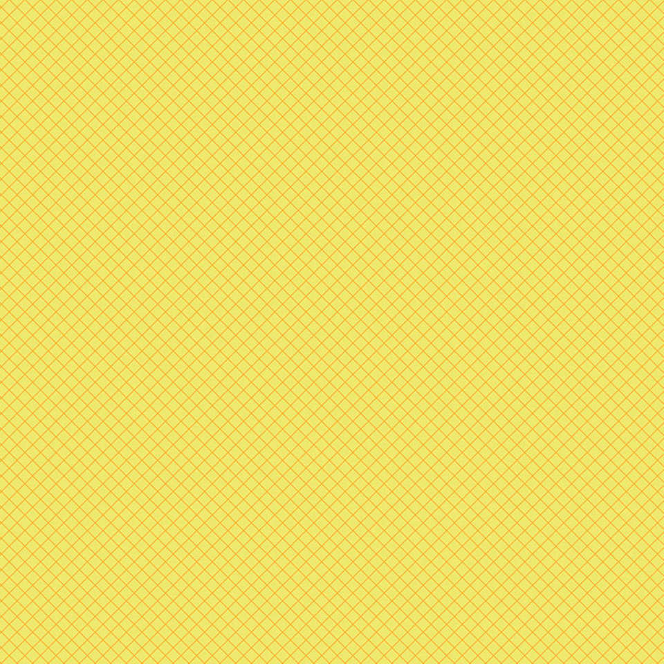 Free Spirit - True Colors 2025 - PWTP255.HIGHLIGHTER