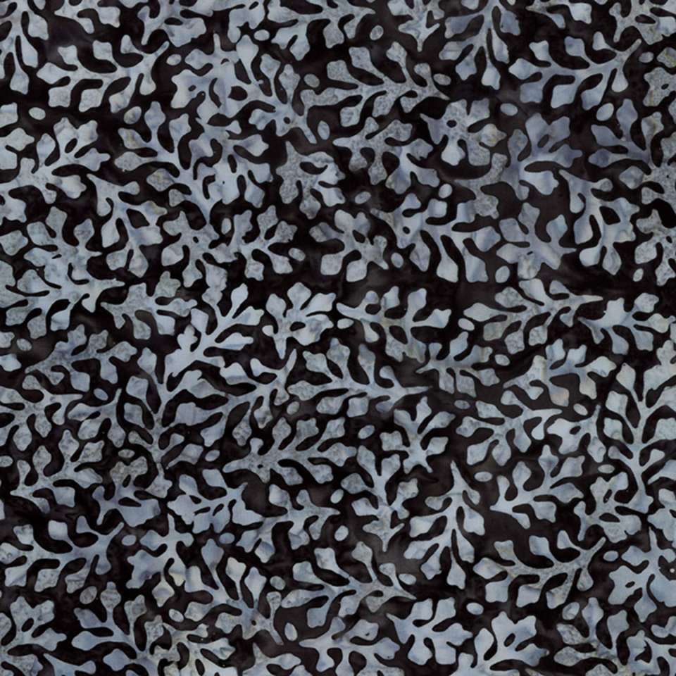 Riley Blake Designs - Expressions Batiks Achromatic Dance - BT23043-166