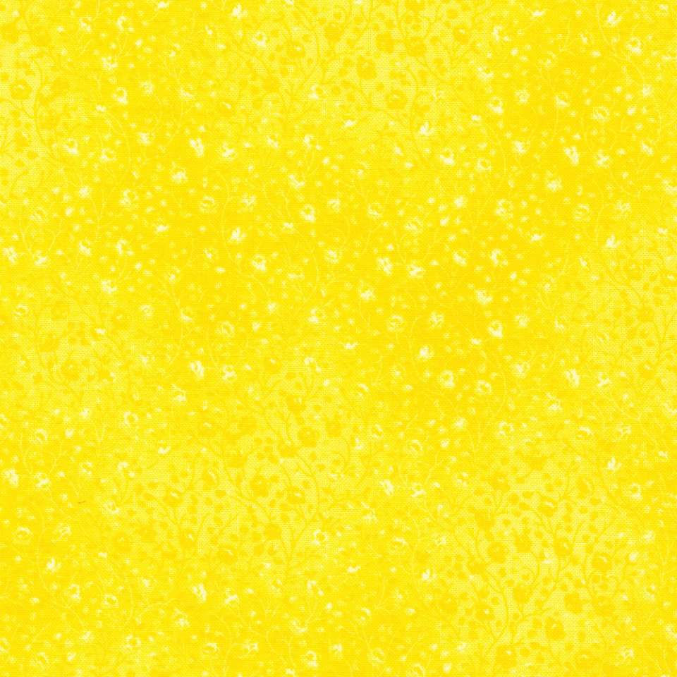 Robert Kaufman - Fusions Collection - EY-4070-71