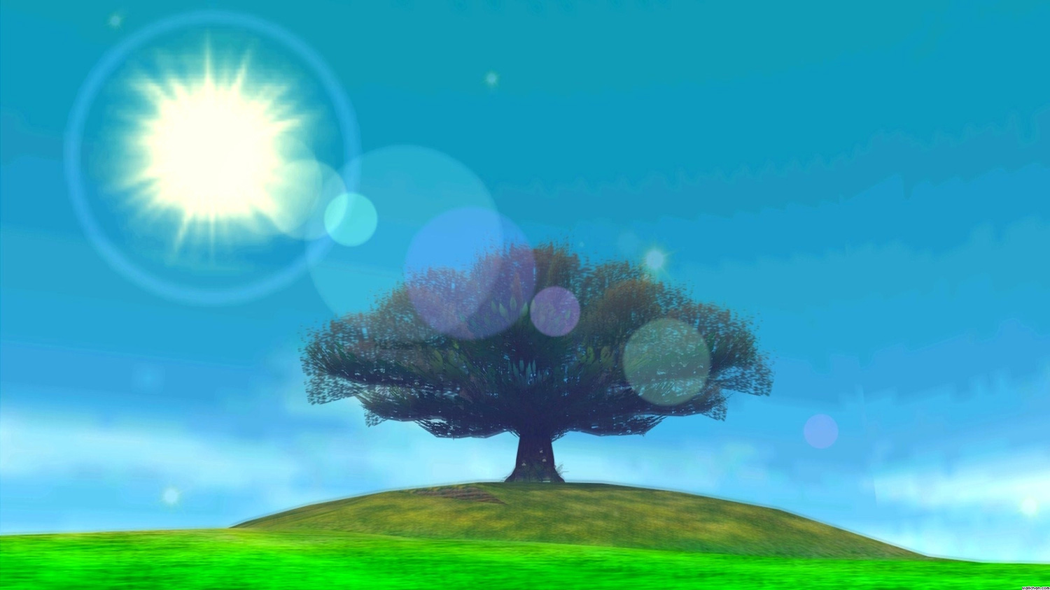 A tree at the center of a sunny field