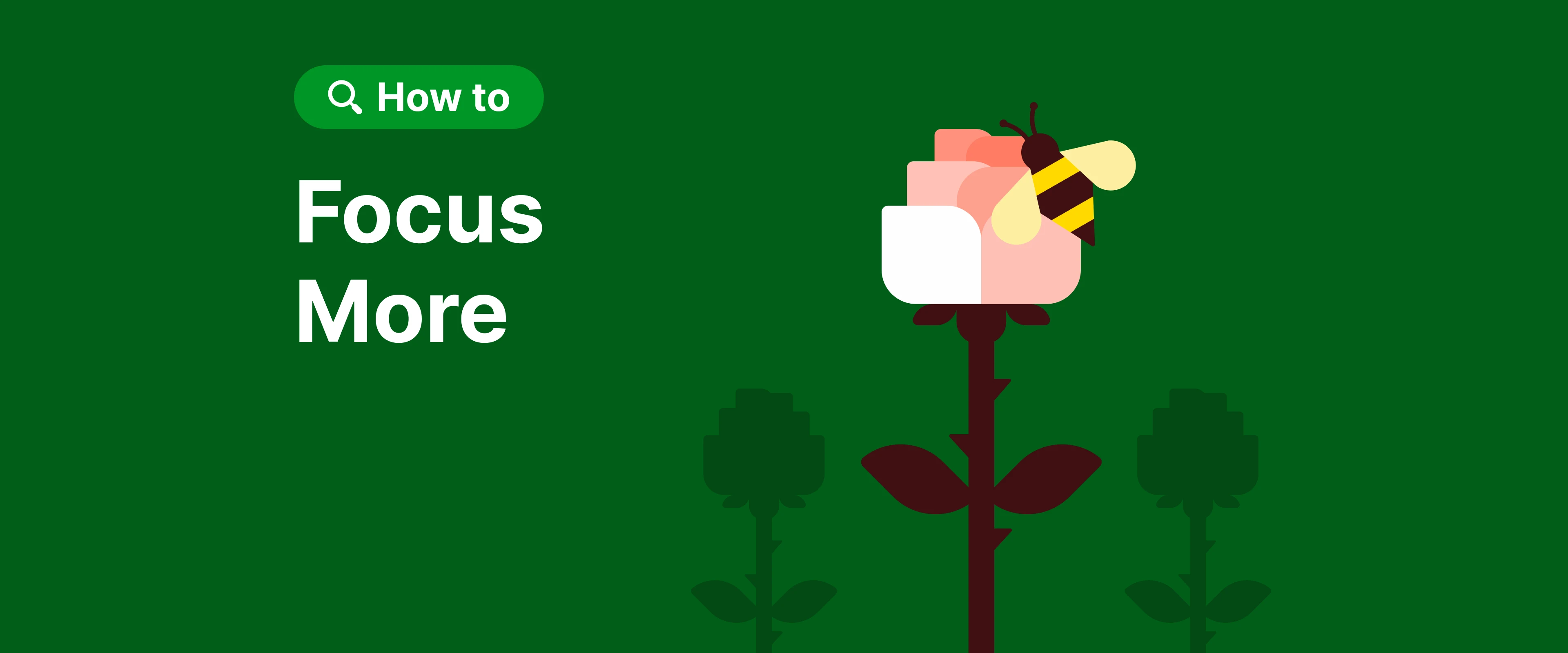 Mastering the Art of Focus: Strategies to Enhance Your Study Sessions