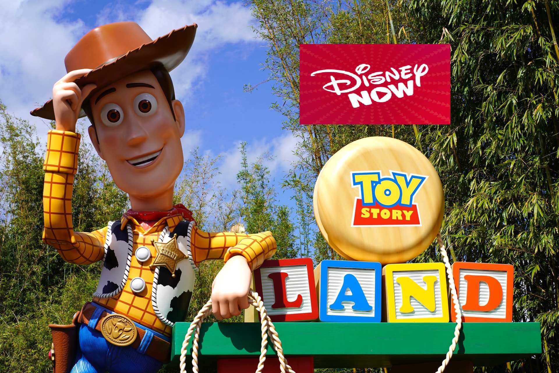 activate disney.com/activate on smart devices