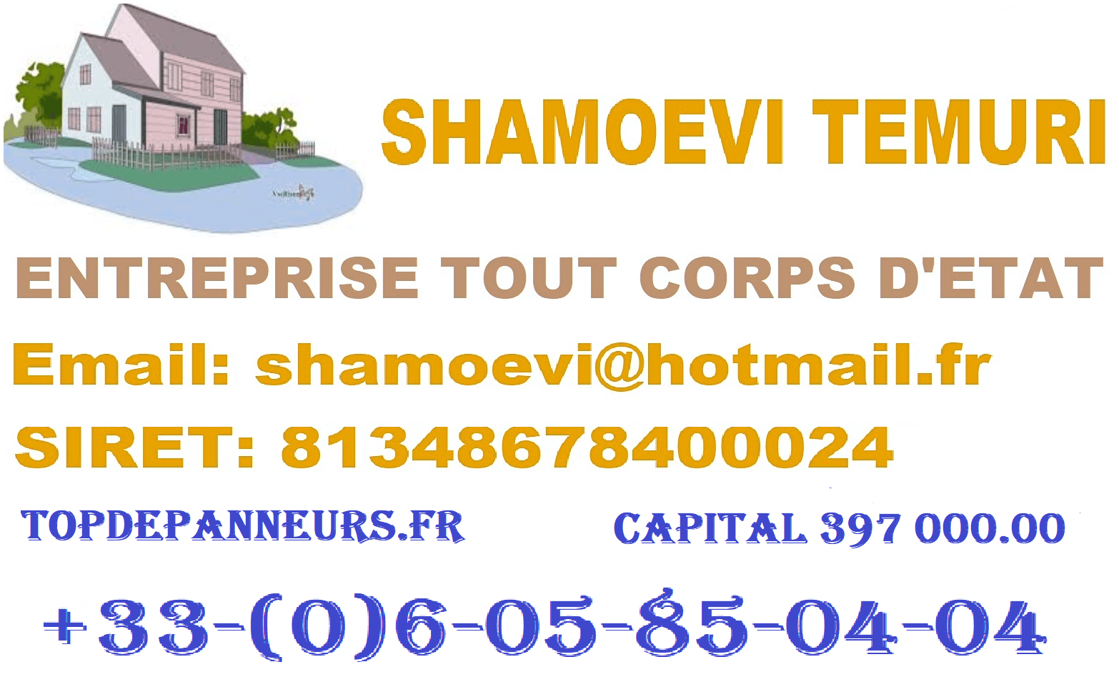 Logo de shamoevi temuri