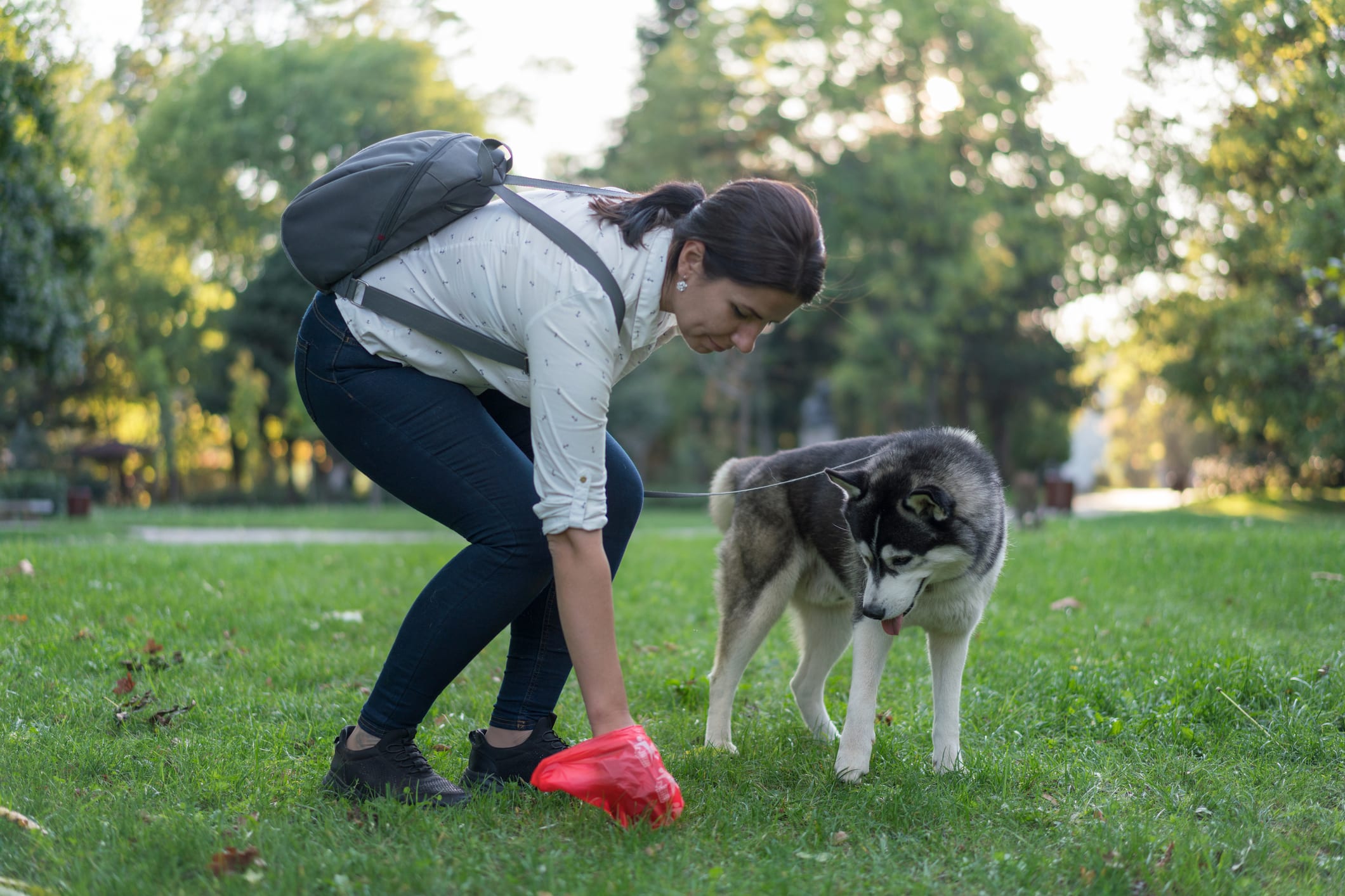Dog poop complaints soar yet fines fall foul - CompareNI