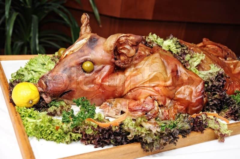 pig food