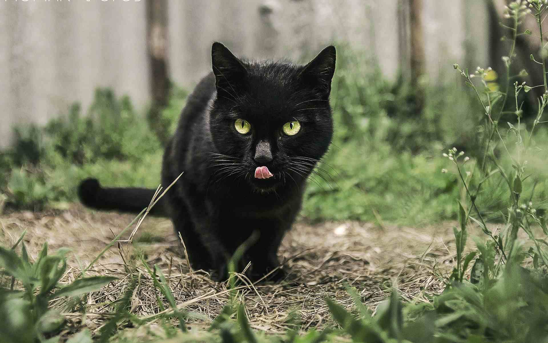 superstition