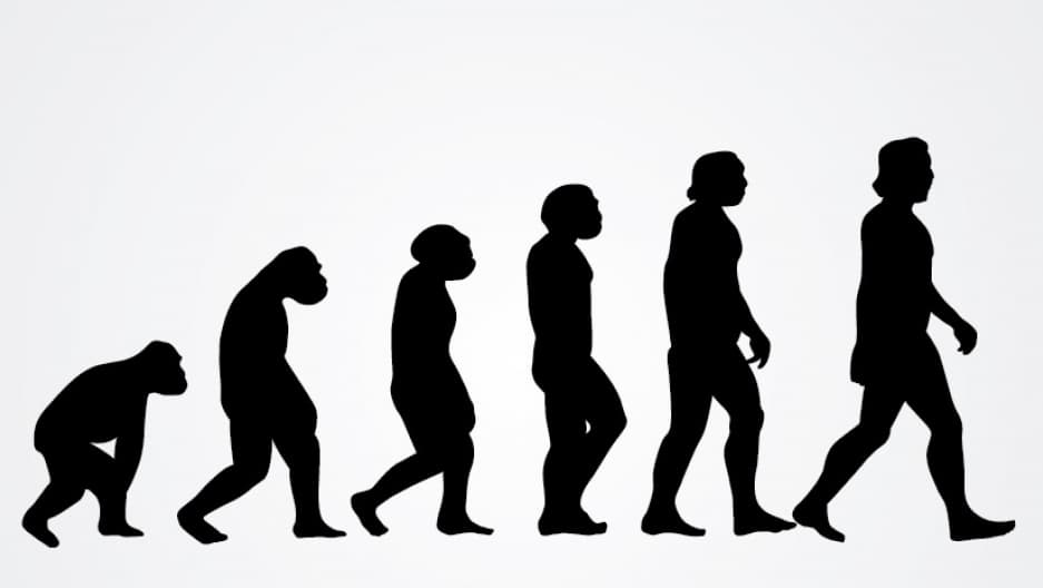 02212018-evolution