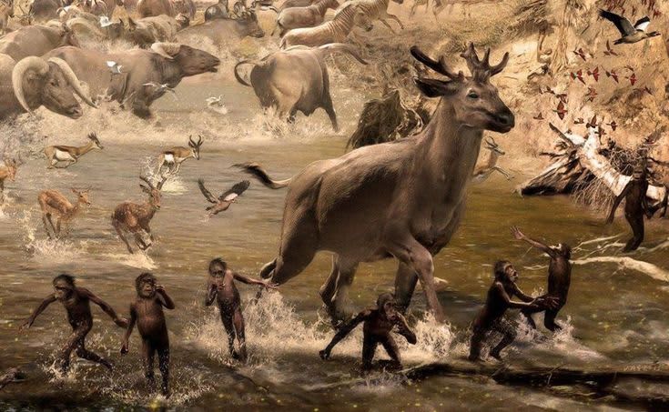 607cde2d274738cee9d2f29058fa8b73--extinct-animals-prehistoric-animals