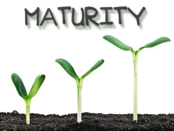 maturity