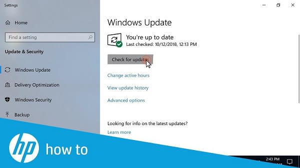 Update-the-Windows-10-Check-for-updates-Screenshot