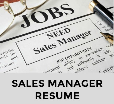 salesmanagerresume2