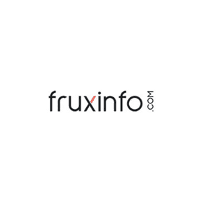 fruxinfoseo