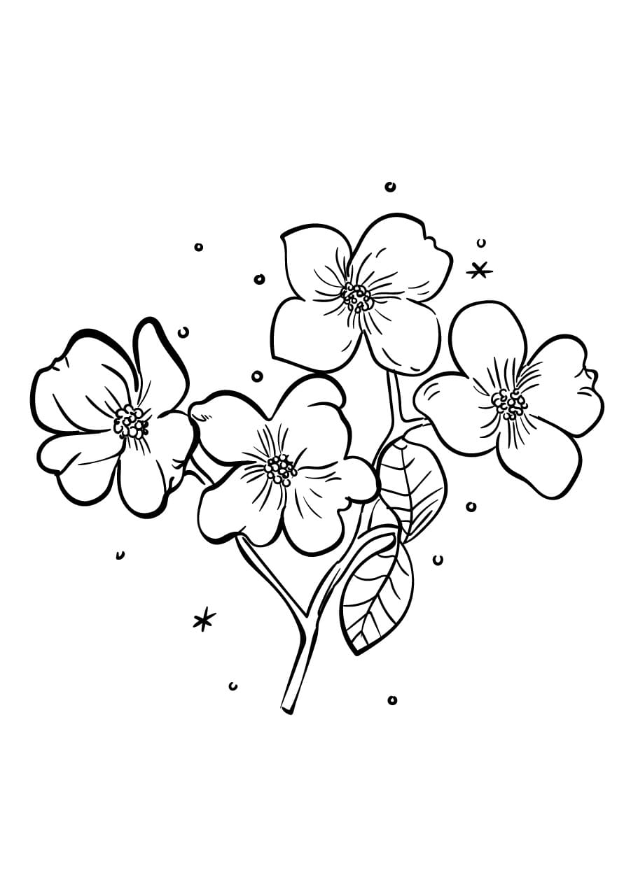 Flower Coloring Pages (1)