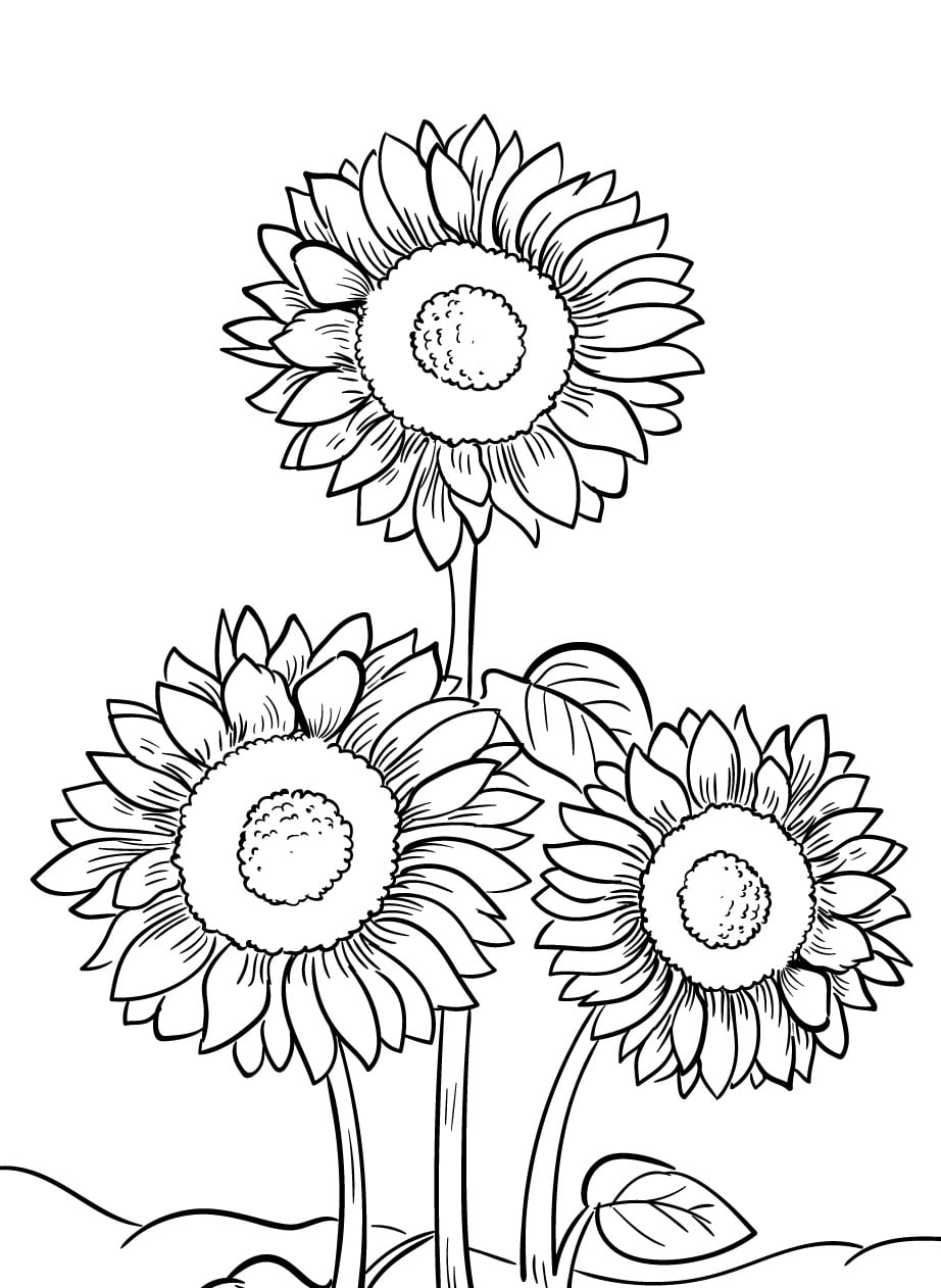 flower coloring pages free