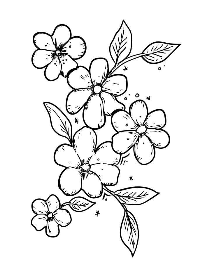 flower coloring pages printable free