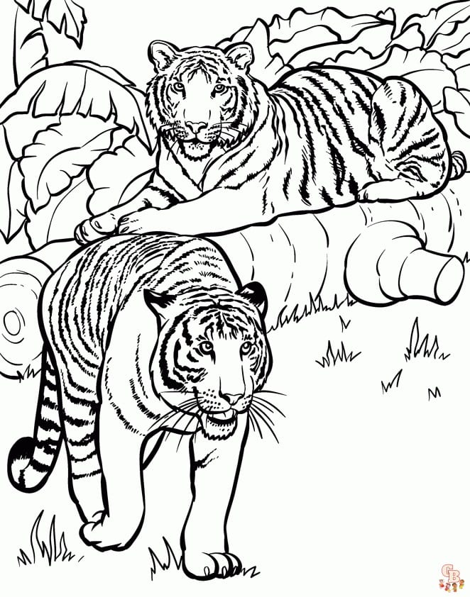 Tiger coloring pages (2)
