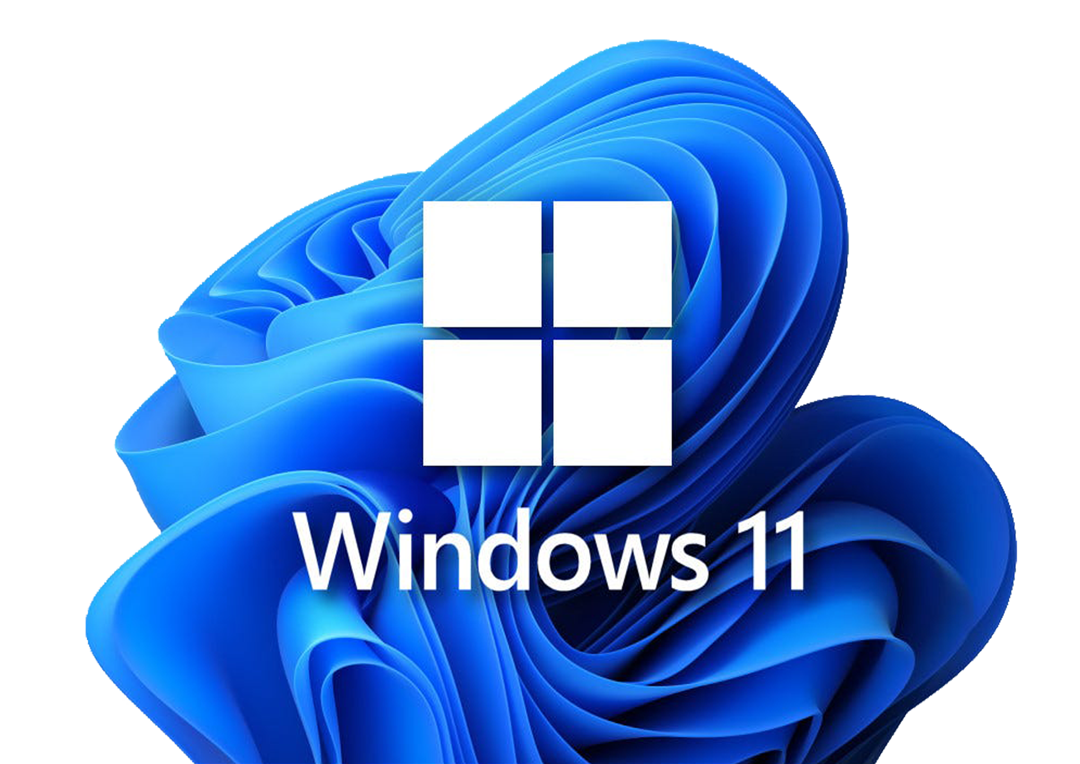 WIN 11 Professional (PRO) Lifetime Digital License