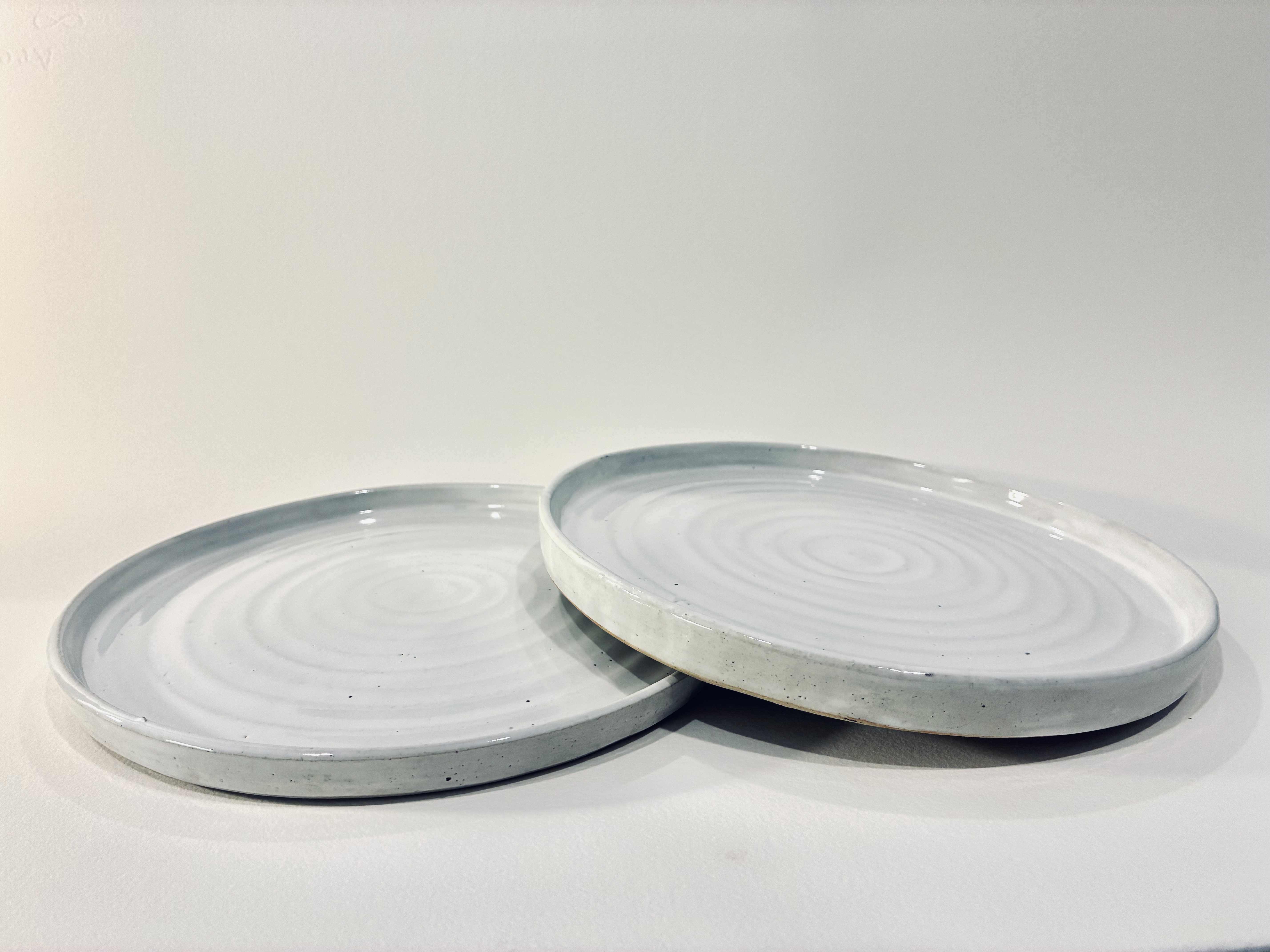 White Porcelain-Like Dinner Plate