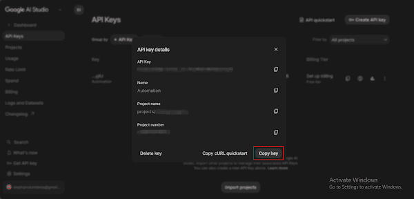 Copying Gemini API Key